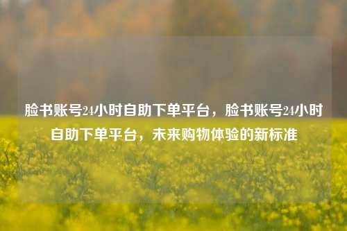 脸书账号24小时自助下单平台，脸书账号24小时自助下单平台，未来购物体验的新标准