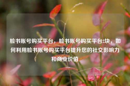脸书账号购买平台，脸书账号购买平台2块，如何利用脸书账号购买平台提升您的社交影响力和商业价值
