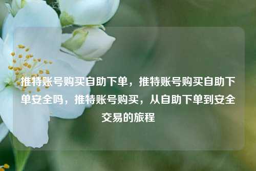 推特账号购买自助下单，推特账号购买自助下单安全吗，推特账号购买，从自助下单到安全交易的旅程