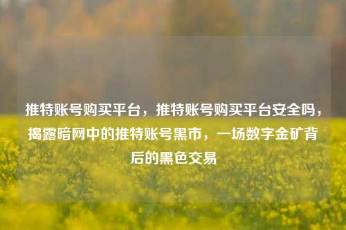 推特账号购买平台，推特账号购买平台安全吗，揭露暗网中的推特账号黑市，一场数字金矿背后的黑色交易
