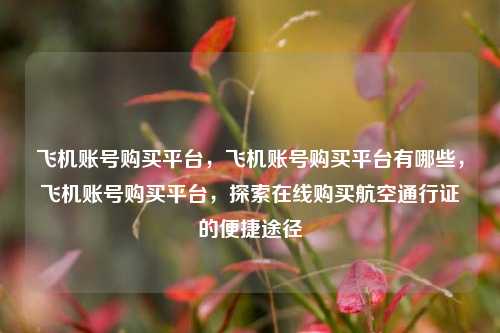飞机账号购买平台，飞机账号购买平台有哪些，飞机账号购买平台	，探索在线购买航空通行证的便捷途径  第1张