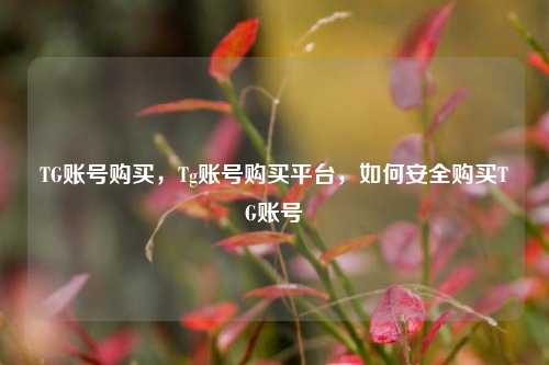 TG账号购买，Tg账号购买平台，如何安全购买TG账号
