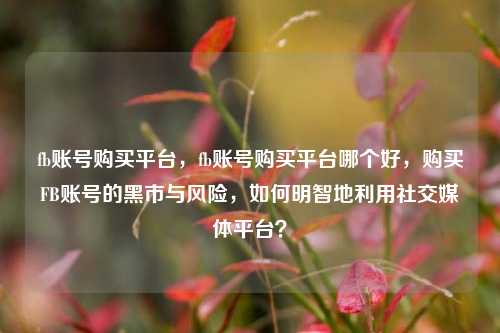 fb账号购买平台，fb账号购买平台哪个好，购买FB账号的黑市与风险，如何明智地利用社交媒体平台？