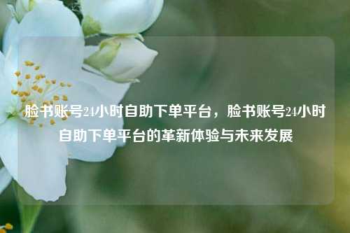 脸书账号24小时自助下单平台，脸书账号24小时自助下单平台的革新体验与未来发展