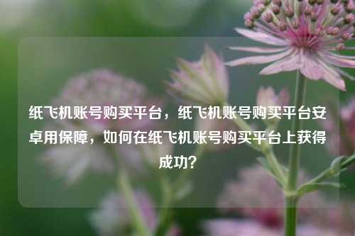 纸飞机账号购买平台，纸飞机账号购买平台安卓用保障，如何在纸飞机账号购买平台上获得成功？