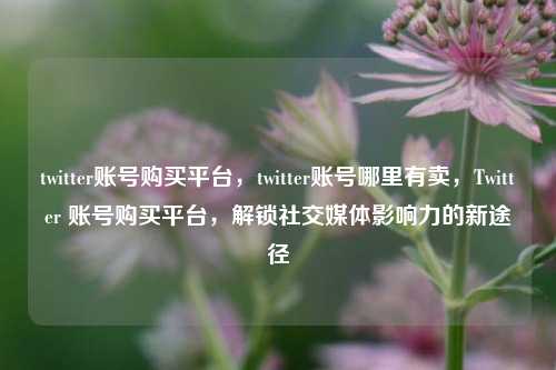 twitter账号购买平台，twitter账号哪里有卖，Twitter 账号购买平台，解锁社交媒体影响力的新途径