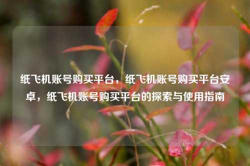 纸飞机账号购买平台，纸飞机账号购买平台安卓，纸飞机账号购买平台的探索与使用指南
