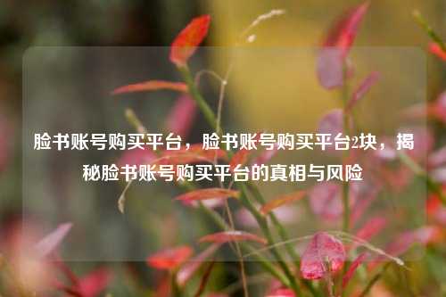 脸书账号购买平台，脸书账号购买平台2块，揭秘脸书账号购买平台的真相与风险