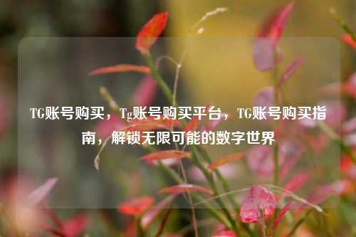 TG账号购买，Tg账号购买平台，TG账号购买指南，解锁无限可能的数字世界