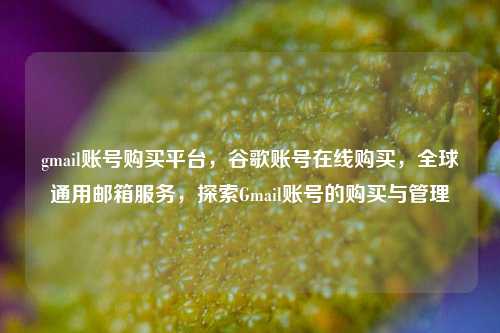 gmail账号购买平台，谷歌账号在线购买，全球通用邮箱服务，探索Gmail账号的购买与管理