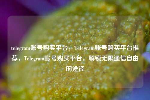 telegram账号购买平台，Telegram账号购买平台推荐，Telegram账号购买平台，解锁无限通信自由的途径