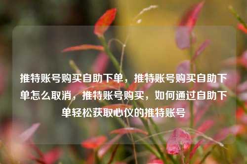 推特账号购买自助下单，推特账号购买自助下单怎么取消，推特账号购买，如何通过自助下单轻松获取心仪的推特账号