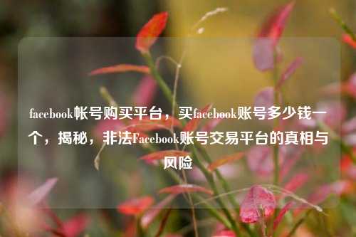 facebook帐号购买平台，买facebook账号多少钱一个，揭秘，非法Facebook账号交易平台的真相与风险