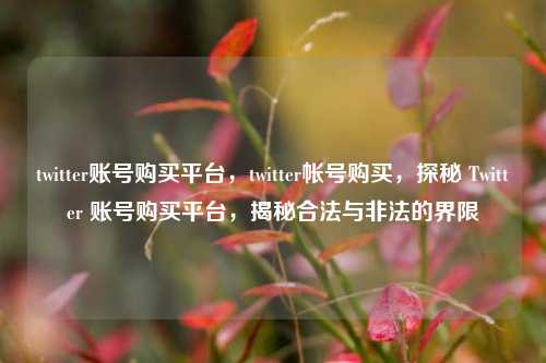 twitter账号购买平台	，twitter帐号购买，探秘 Twitter 账号购买平台，揭秘合法与非法的界限  第1张