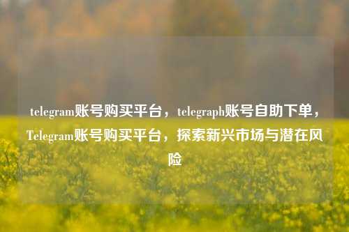 telegram账号购买平台，telegraph账号自助下单，Telegram账号购买平台，探索新兴市场与潜在风险