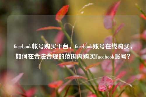 facebook帐号购买平台，facebook账号在线购买，如何在合法合规的范围内购买Facebook账号？