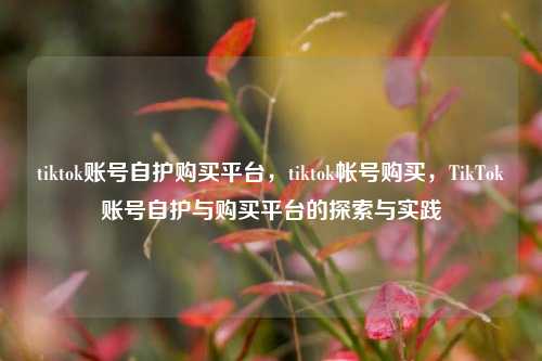tiktok账号自护购买平台，tiktok帐号购买，TikTok账号自护与购买平台的探索与实践