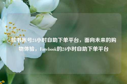 脸书账号24小时自助下单平台，面向未来的购物体验，Facebook的24小时自助下单平台