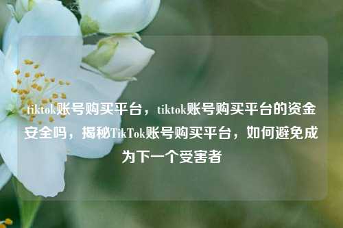 tiktok账号购买平台，tiktok账号购买平台的资金安全吗，揭秘TikTok账号购买平台，如何避免成为下一个受害者