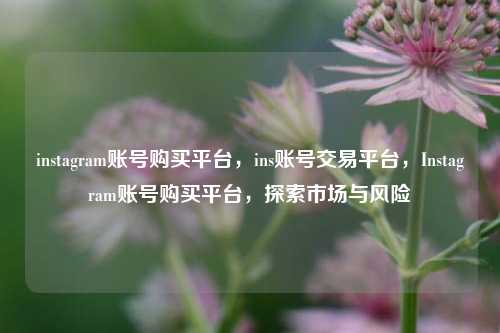 instagram账号购买平台，ins账号交易平台，Instagram账号购买平台，探索市场与风险