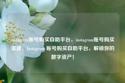 instagram账号购买自助平台，instagram账号购买渠道，Instagram 账号购买自助平台，解锁你的数字资产！