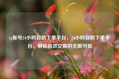tg账号24小时自助下单平台，24小时自助下单平台，解锁高效交易的无限可能