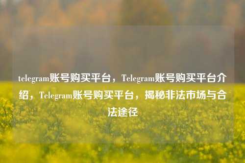 telegram账号购买平台，Telegram账号购买平台介绍，Telegram账号购买平台，揭秘非法市场与合法途径