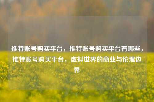 推特账号购买平台，推特账号购买平台有哪些，推特账号购买平台，虚拟世界的商业与伦理边界