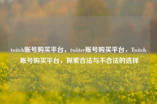 twitch账号购买平台，twiiter账号购买平台，Twitch 账号购买平台，探索合法与不合法的选择