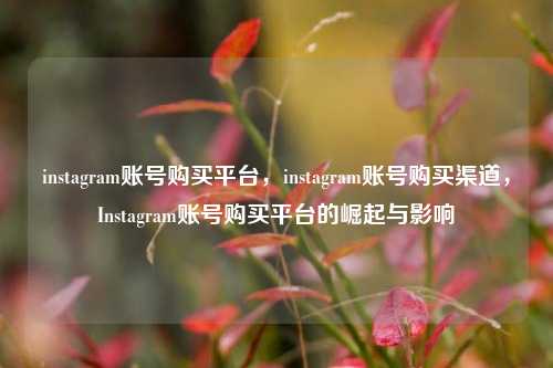 instagram账号购买平台，instagram账号购买渠道，Instagram账号购买平台的崛起与影响